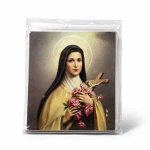 Ímã Santa Teresinha